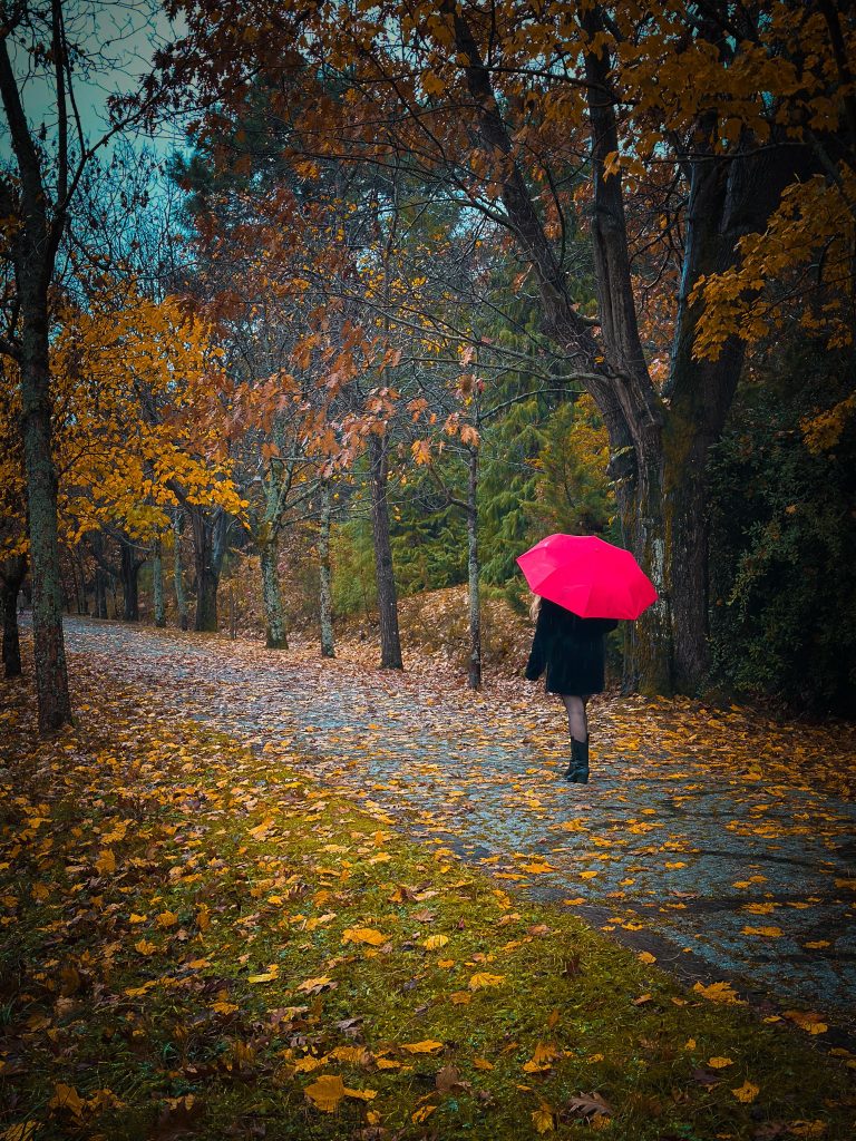 Atatürk Arboretumu sonbahar manzarası, kırmızı şemsiye ile yürüyen bir ziyaretçi
