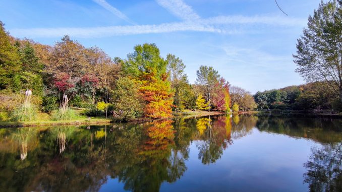 Atatürk Arboretumu Göl Manzarası Atatürk Arboretumu gölü, ağaç yansımaları ve sonbahar renkleriyle huzurlu bir manzara